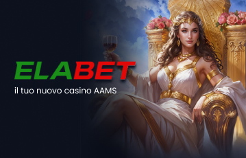 elabet-pro-contra-IT